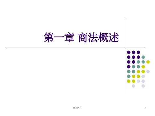 《商法概述基本原则》PPT课件