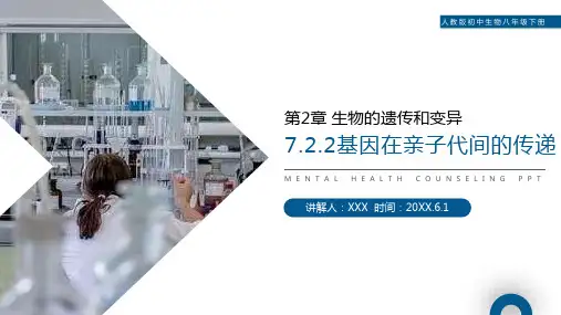 《生物的遗传和变异(基因在亲子代间的传递)》人教版初中生物八年级初二下册PPT课件