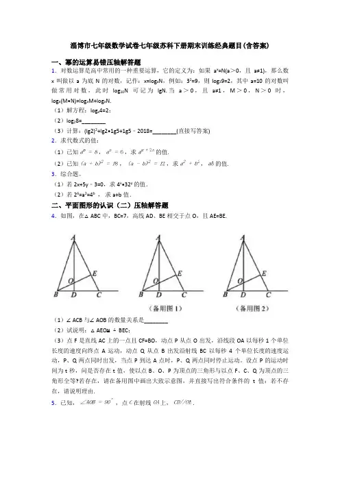 淄博市七年级数学试卷七年级苏科下册期末训练经典题目(含答案)