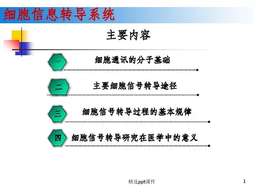 细胞信号转导系统