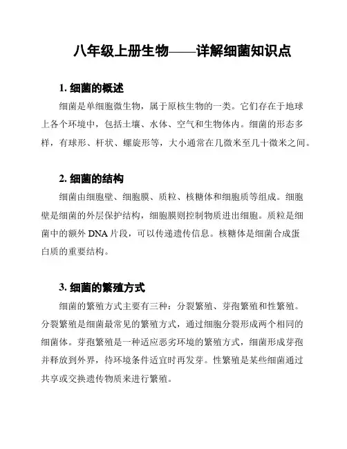 八年级上册生物——详解细菌知识点