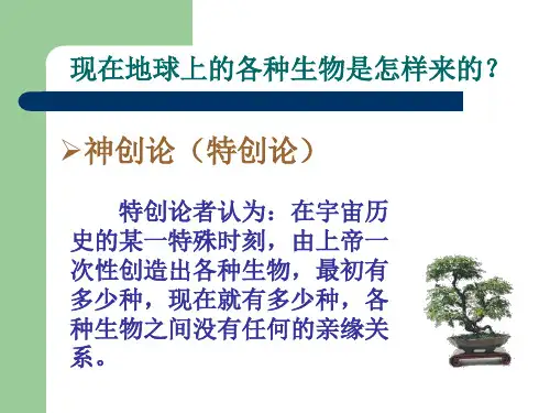 生物的进化PPT课件