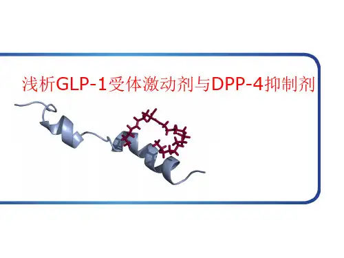 GLP-1受体激动剂与DPP-4抑制剂幻灯概要