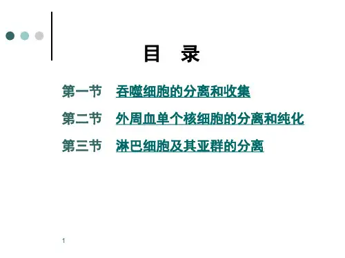 免疫细胞的分离及检测课件