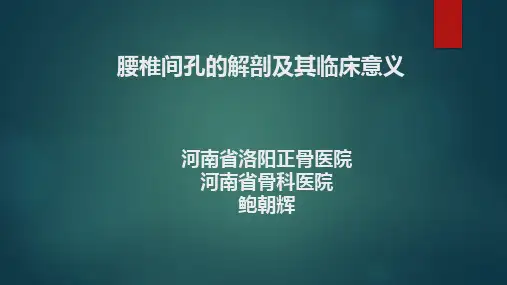 椎间孔的解剖 (1)