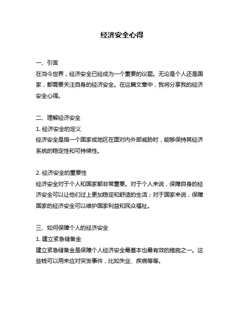 经济安全心得