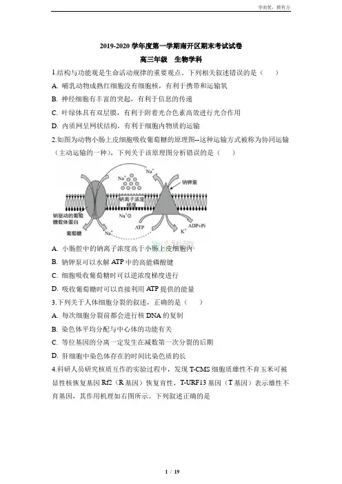 精品解析：【天津市南开区】2019-2020高三上学期期末生物试题