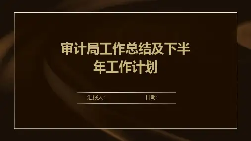 审计局工作总结及下半年工作计划