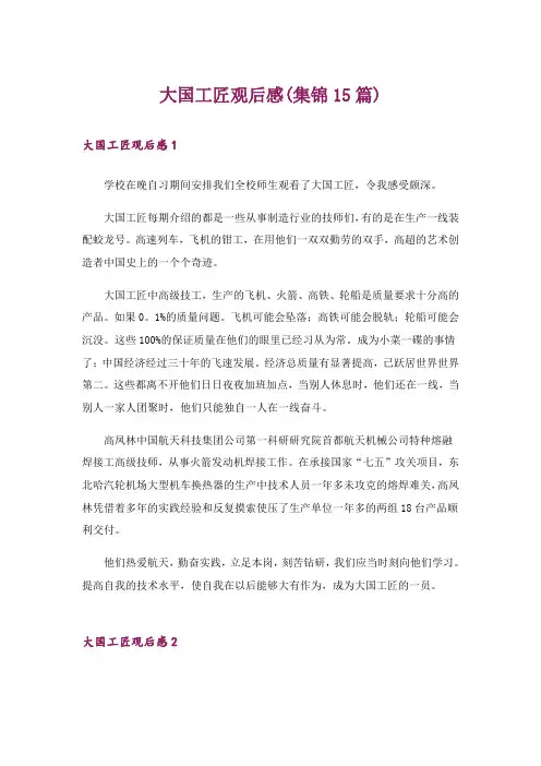 大国工匠观后感(集锦15篇)_3