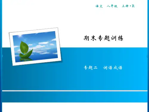 期末专题训练专题2词语成语习题课件—-学年部编版语文八年级上册(共17张PPT)