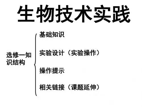 高中生物专题一传统发酵技术课件新人教选修1