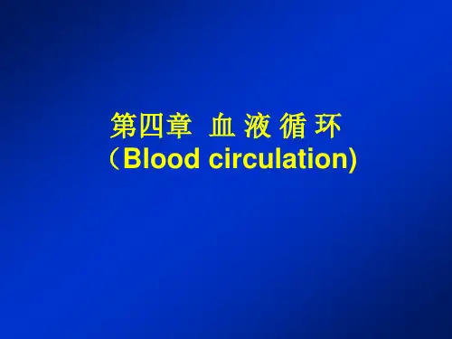 循环系统生理