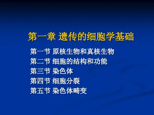 第一章遗传的细胞学基础ppt-分子生物学