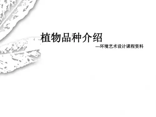 环境艺术设计课程资料-植物介绍