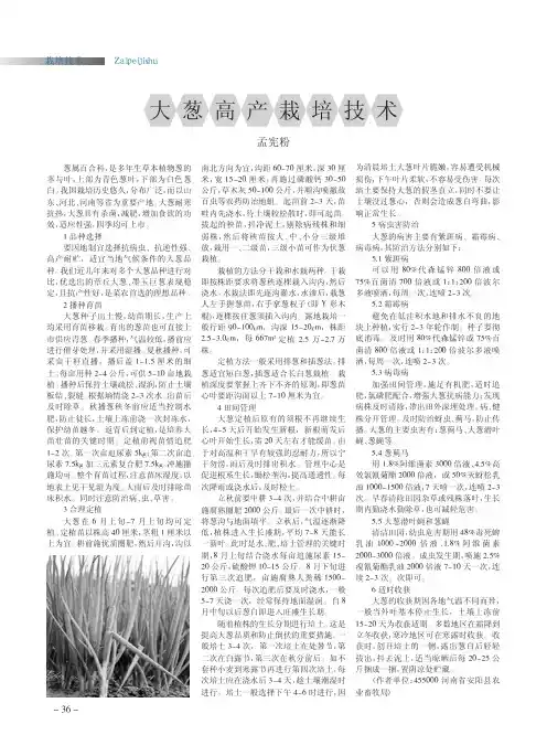 大葱高产栽培技术