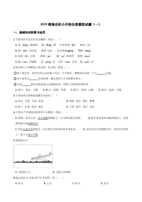 六年级下册语文试题--2019湖南岳阳小升初全真模拟试题(一) 人教新课标 含答案