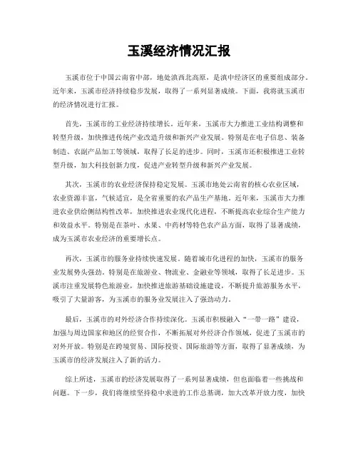 玉溪经济情况汇报