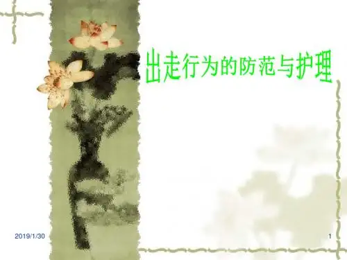 出走行为的防范与护理课件