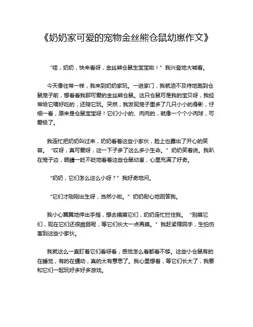 《奶奶家可爱的宠物金丝熊仓鼠幼崽作文》