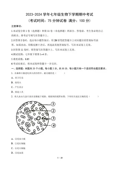 2023-2024学年七年级下册生物期中考试+详细答案
