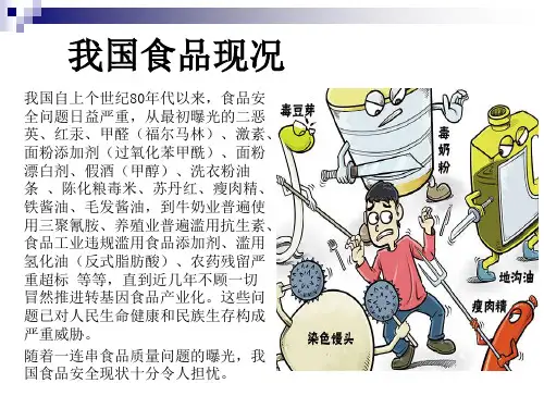 近年来重大食品安全事件