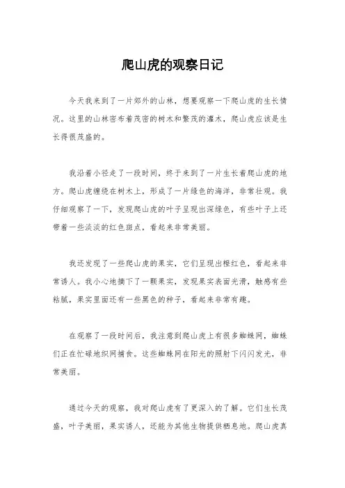爬山虎的观察日记