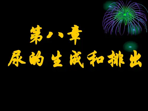生理学泌尿系统