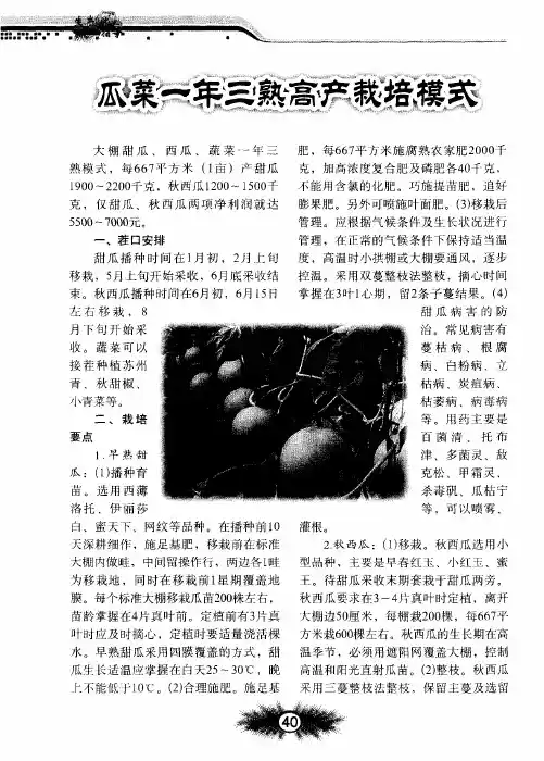 瓜菜一年三熟高产栽培模式