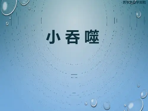 医学免疫学实验“小吞噬”.pptx