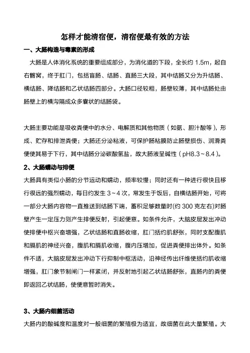 如何清肠道宿便及排宿便最好的方法介绍