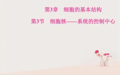 2018秋高中生物第三章细胞的基本结构第3节细胞核——系统的控制中心课件新人教版必修1