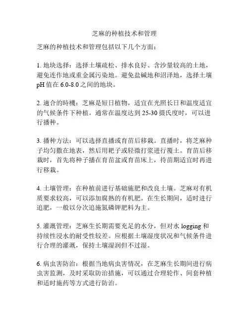 芝麻的种植技术和管理