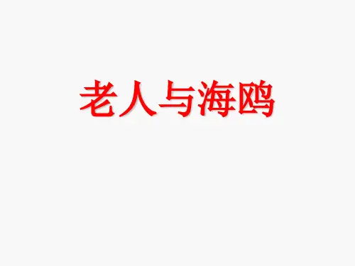 五年级下册语文课件-老人与海鸥｜语文S版 (共12张PPT)