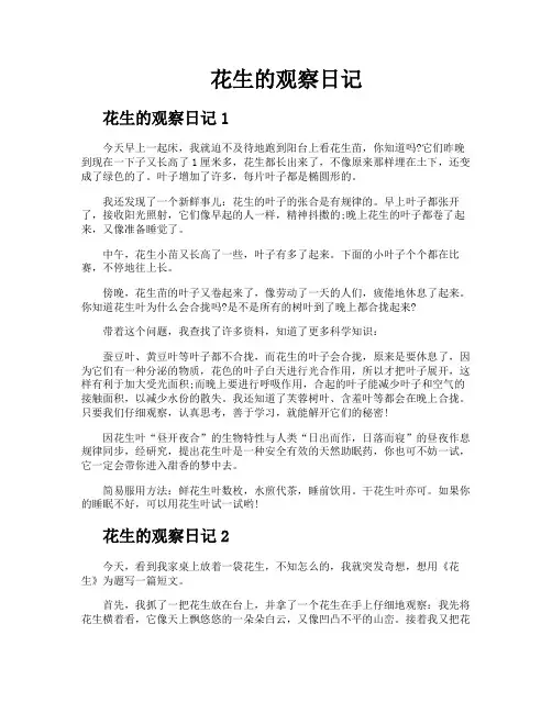 花生的观察日记 2