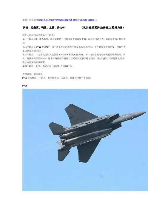 研究涡流、边条翼、鸭翼、主翼、升力体(更新版)