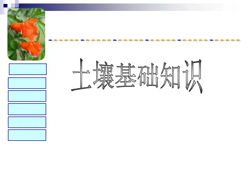 土壤基础知识课件