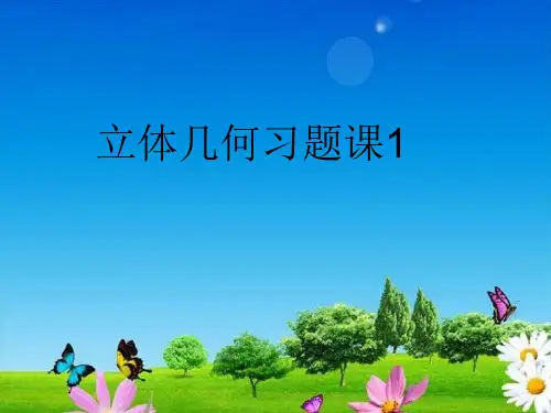 立体几何习题课 —人教版高中数学新教材必修第二册优秀课件
