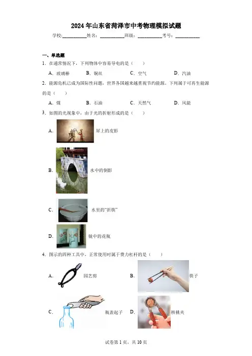 【中考压轴】2024年山东省菏泽市中考物理模拟试题(附答案)