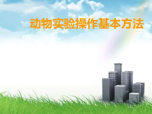 动物实验操作基本方法
