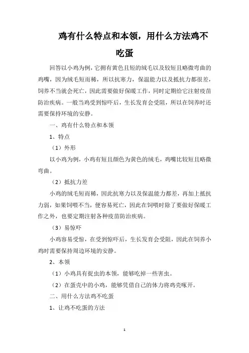 鸡有什么特点和本领,用什么方法鸡不吃蛋
