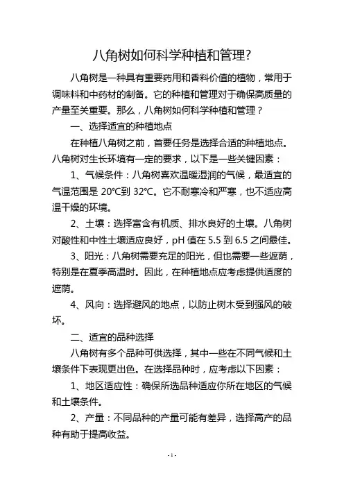 八角树如何科学种植和管理-