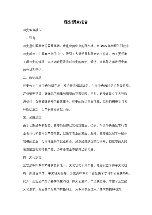 延安调查报告
