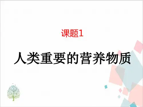 人教版《人类重要的营养物质》_课件