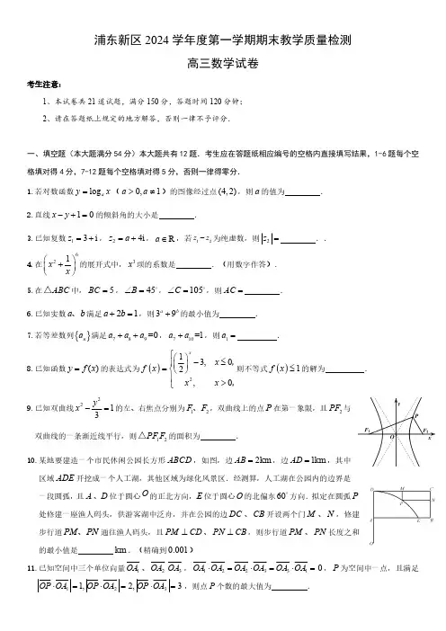 2025届上海浦东新区高三一模数学试卷及答案
