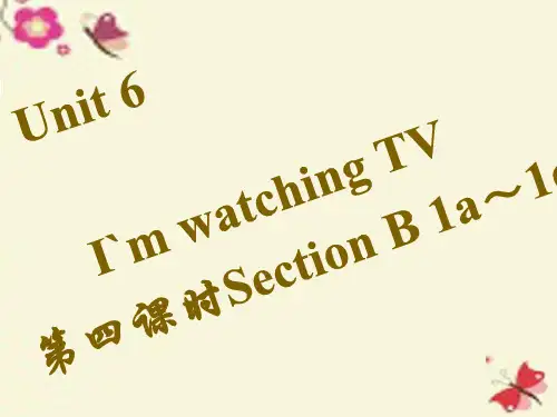 【四清导航】七年级英语下册 Unit 6 I’m watching TV(第4课时)Section B(1a-1e)课件