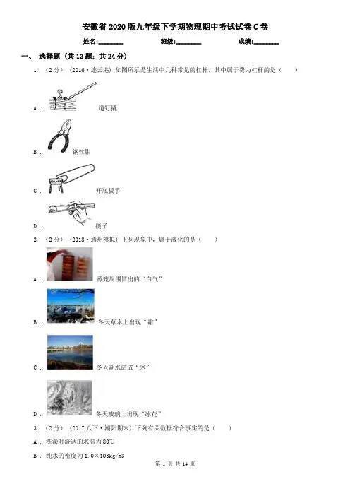 安徽省2020版九年级下学期物理期中考试试卷C卷