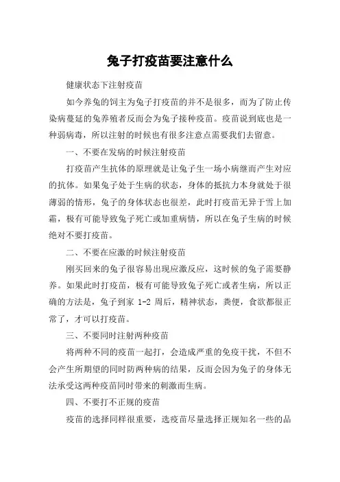 兔子打疫苗要注意什么
