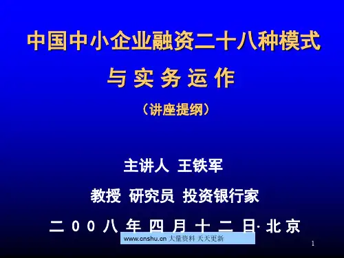 中国中小企业融资二十八种模式与实务运作--popchina