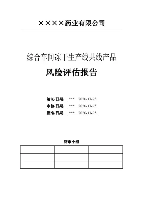 药品生产线共线产品风险评估报告(范本)