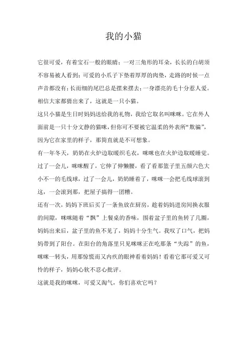 五年级状物我的小猫